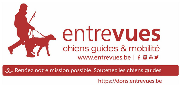 Entrevues chiens guides