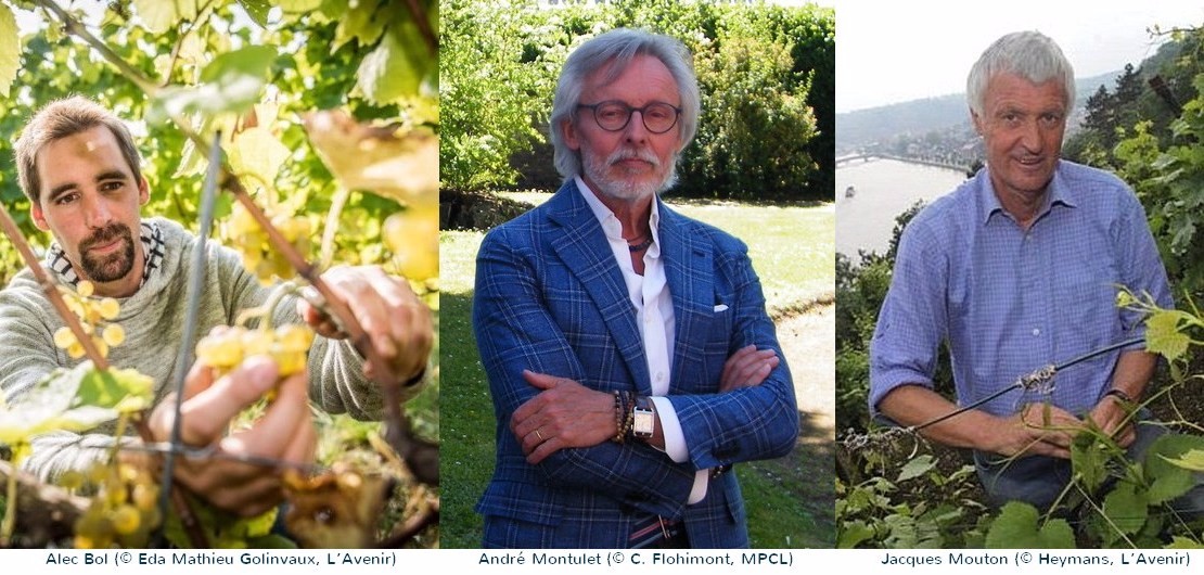 Podium 2016-2017 des meilleurs viticulteurs liégeois